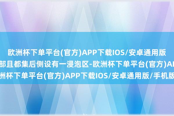 欧洲杯下单平台(官方)APP下载IOS/安卓通用版/手机版所述清洗槽的中部且都集后侧设有一浸泡区-欧洲杯下单平台(官方)APP下载IOS/安卓通用版/手机版