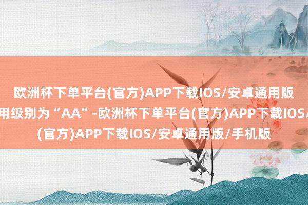 欧洲杯下单平台(官方)APP下载IOS/安卓通用版/手机版东材转债信用级别为“AA”-欧洲杯下单平台(官方)APP下载IOS/安卓通用版/手机版