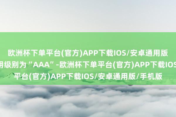 欧洲杯下单平台(官方)APP下载IOS/安卓通用版/手机版浙22转债信用级别为“AAA”-欧洲杯下单平台(官方)APP下载IOS/安卓通用版/手机版