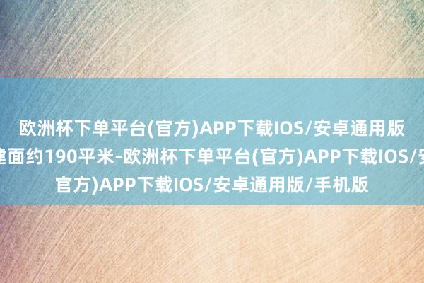 欧洲杯下单平台(官方)APP下载IOS/安卓通用版/手机版下叠家具建面约190平米-欧洲杯下单平台(官方)APP下载IOS/安卓通用版/手机版