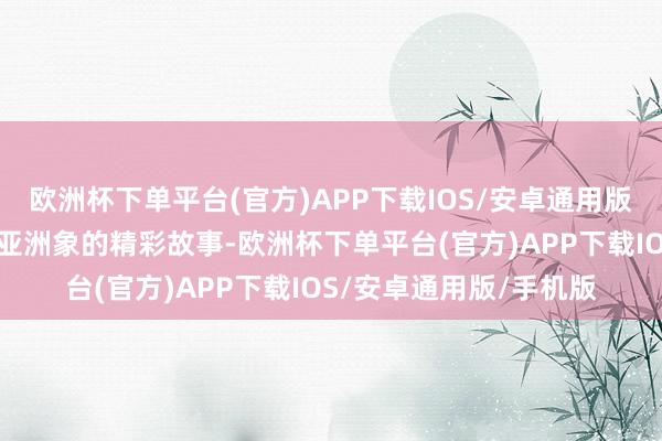 欧洲杯下单平台(官方)APP下载IOS/安卓通用版/手机版纯真呈现保护亚洲象的精彩故事-欧洲杯下单平台(官方)APP下载IOS/安卓通用版/手机版