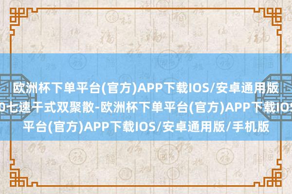 欧洲杯下单平台(官方)APP下载IOS/安卓通用版/手机版行家的DQ200七速干式双聚散-欧洲杯下单平台(官方)APP下载IOS/安卓通用版/手机版