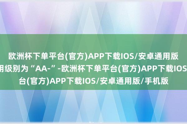 欧洲杯下单平台(官方)APP下载IOS/安卓通用版/手机版汇通转债信用级别为“AA-”-欧洲杯下单平台(官方)APP下载IOS/安卓通用版/手机版