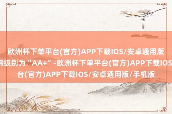 欧洲杯下单平台(官方)APP下载IOS/安卓通用版/手机版环旭转债信用级别为“AA+”-欧洲杯下单平台(官方)APP下载IOS/安卓通用版/手机版