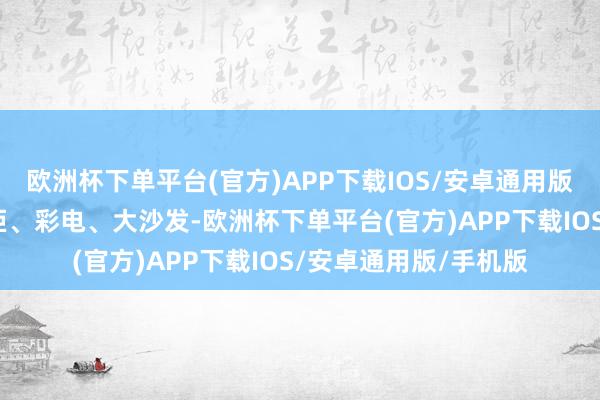 欧洲杯下单平台(官方)APP下载IOS/安卓通用版/手机版单电机、雪柜、彩电、大沙发-欧洲杯下单平台(官方)APP下载IOS/安卓通用版/手机版