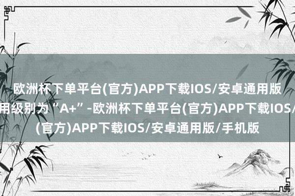 欧洲杯下单平台(官方)APP下载IOS/安卓通用版/手机版山石转债信用级别为“A+”-欧洲杯下单平台(官方)APP下载IOS/安卓通用版/手机版