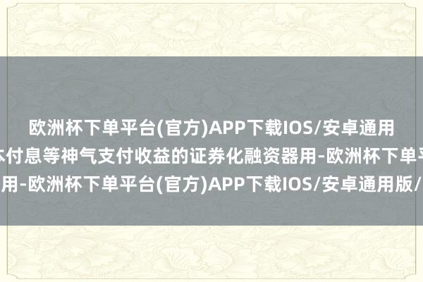 欧洲杯下单平台(官方)APP下载IOS/安卓通用版/手机版按商定以还本付息等神气支付收益的证券化融资器用-欧洲杯下单平台(官方)APP下载IOS/安卓通用版/手机版