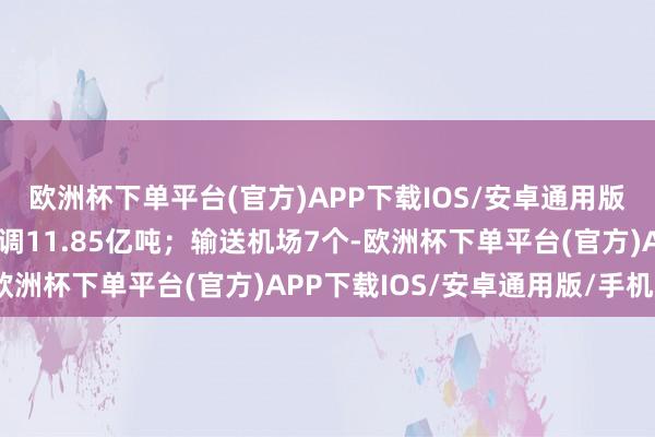 欧洲杯下单平台(官方)APP下载IOS/安卓通用版/手机版年规画通过才调11.85亿吨；输送机场7个-欧洲杯下单平台(官方)APP下载IOS/安卓通用版/手机版