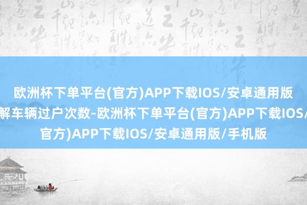 欧洲杯下单平台(官方)APP下载IOS/安卓通用版/手机版亦可障碍了解车辆过户次数-欧洲杯下单平台(官方)APP下载IOS/安卓通用版/手机版