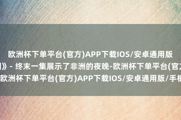 欧洲杯下单平台(官方)APP下载IOS/安卓通用版/手机版第六集：《非洲》- 终末一集展示了非洲的夜晚-欧洲杯下单平台(官方)APP下载IOS/安卓通用版/手机版