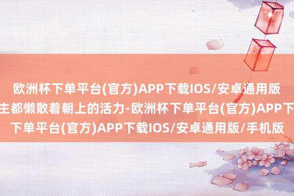 欧洲杯下单平台(官方)APP下载IOS/安卓通用版/手机版统统这个词东谈主都懒散着朝上的活力-欧洲杯下单平台(官方)APP下载IOS/安卓通用版/手机版