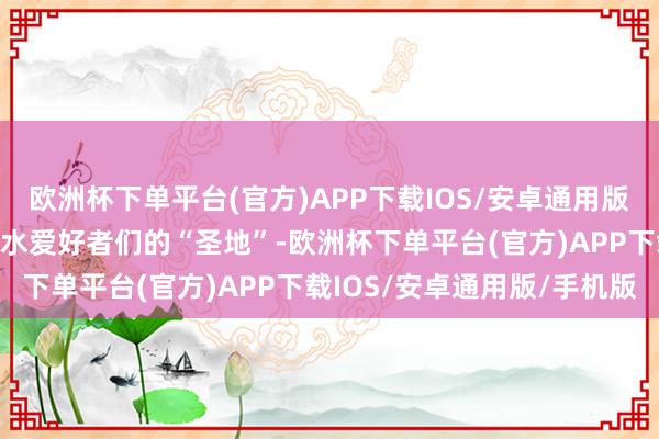 欧洲杯下单平台(官方)APP下载IOS/安卓通用版/手机版这里向来亦然潜水爱好者们的“圣地”-欧洲杯下单平台(官方)APP下载IOS/安卓通用版/手机版