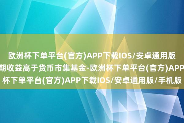 欧洲杯下单平台(官方)APP下载IOS/安卓通用版/手机版其预期风险与预期收益高于货币市集基金-欧洲杯下单平台(官方)APP下载IOS/安卓通用版/手机版