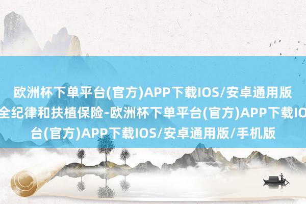 欧洲杯下单平台(官方)APP下载IOS/安卓通用版/手机版衰败完善的安全纪律和扶植保险-欧洲杯下单平台(官方)APP下载IOS/安卓通用版/手机版