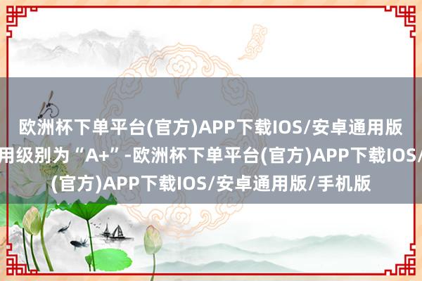 欧洲杯下单平台(官方)APP下载IOS/安卓通用版/手机版利元转债信用级别为“A+”-欧洲杯下单平台(官方)APP下载IOS/安卓通用版/手机版