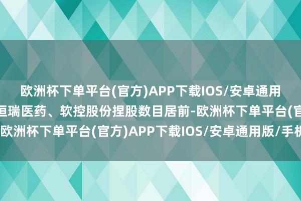 欧洲杯下单平台(官方)APP下载IOS/安卓通用版/手机版国电电力、恒瑞医药、软控股份捏股数目居前-欧洲杯下单平台(官方)APP下载IOS/安卓通用版/手机版