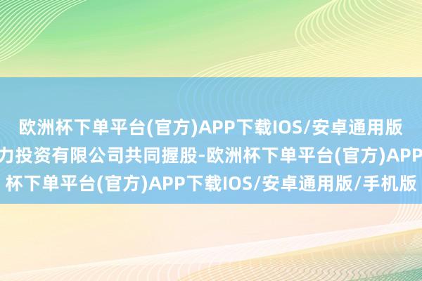 欧洲杯下单平台(官方)APP下载IOS/安卓通用版/手机版及华润电力新动力投资有限公司共同握股-欧洲杯下单平台(官方)APP下载IOS/安卓通用版/手机版