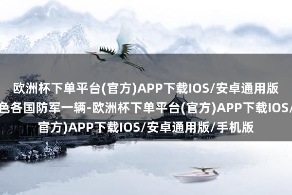 欧洲杯下单平台(官方)APP下载IOS/安卓通用版/手机版得手破坏以色各国防军一辆-欧洲杯下单平台(官方)APP下载IOS/安卓通用版/手机版