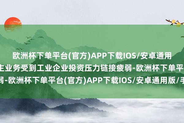 欧洲杯下单平台(官方)APP下载IOS/安卓通用版/手机版而机器东谈主业务受到工业企业投资压力链接疲弱-欧洲杯下单平台(官方)APP下载IOS/安卓通用版/手机版