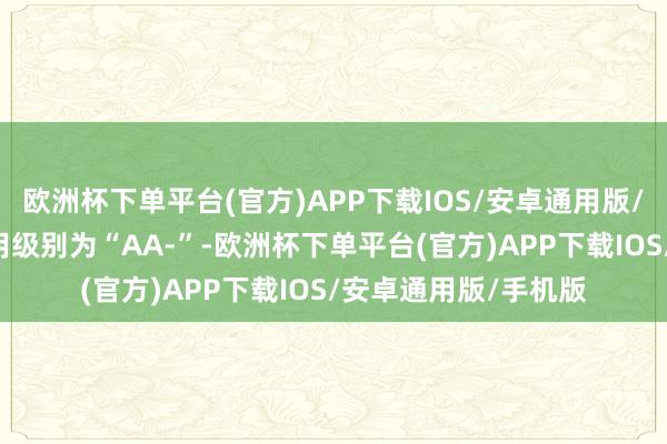 欧洲杯下单平台(官方)APP下载IOS/安卓通用版/手机版荣23转债信用级别为“AA-”-欧洲杯下单平台(官方)APP下载IOS/安卓通用版/手机版