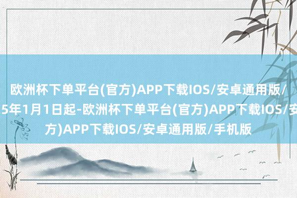 欧洲杯下单平台(官方)APP下载IOS/安卓通用版/手机版  自2025年1月1日起-欧洲杯下单平台(官方)APP下载IOS/安卓通用版/手机版