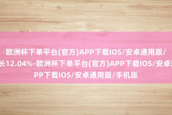 欧洲杯下单平台(官方)APP下载IOS/安卓通用版/手机版同比增长12.04%-欧洲杯下单平台(官方)APP下载IOS/安卓通用版/手机版