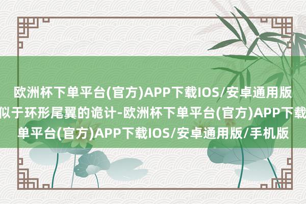 欧洲杯下单平台(官方)APP下载IOS/安卓通用版/手机版尾箱上诡计了近似于环形尾翼的诡计-欧洲杯下单平台(官方)APP下载IOS/安卓通用版/手机版