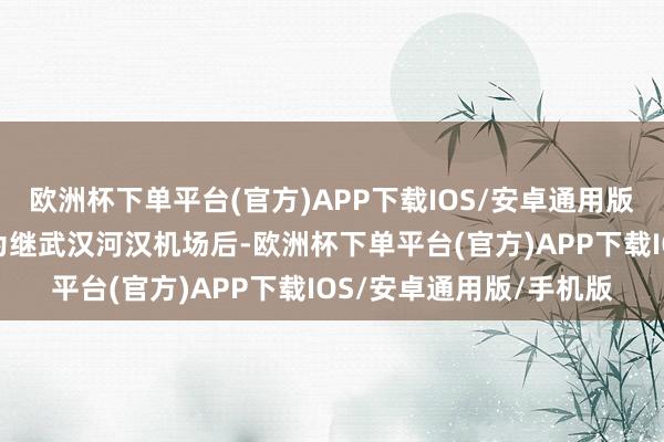 欧洲杯下单平台(官方)APP下载IOS/安卓通用版/手机版三峡机场也成为继武汉河汉机场后-欧洲杯下单平台(官方)APP下载IOS/安卓通用版/手机版