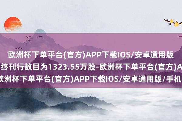 欧洲杯下单平台(官方)APP下载IOS/安卓通用版/手机版回拨后网下最终刊行数目为1323.55万股-欧洲杯下单平台(官方)APP下载IOS/安卓通用版/手机版