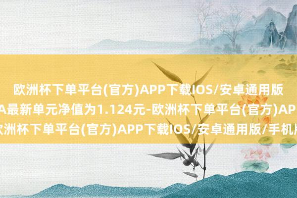 欧洲杯下单平台(官方)APP下载IOS/安卓通用版/手机版宏利宏达搀杂A最新单元净值为1.124元-欧洲杯下单平台(官方)APP下载IOS/安卓通用版/手机版