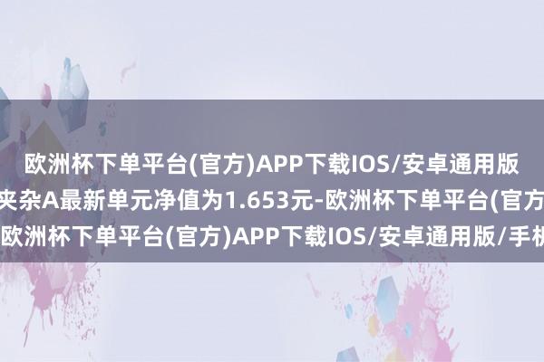 欧洲杯下单平台(官方)APP下载IOS/安卓通用版/手机版中银破费主题夹杂A最新单元净值为1.653元-欧洲杯下单平台(官方)APP下载IOS/安卓通用版/手机版