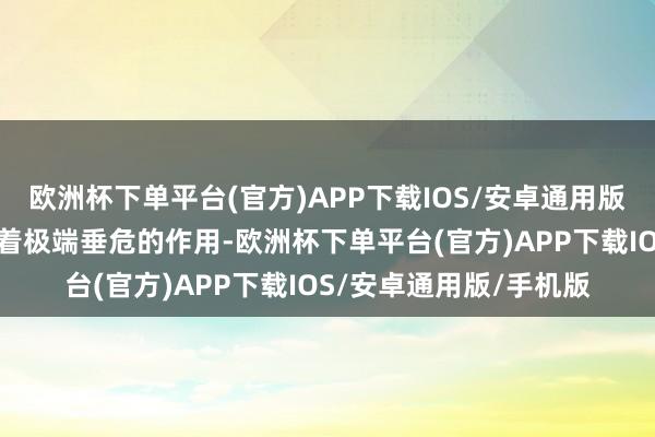 欧洲杯下单平台(官方)APP下载IOS/安卓通用版/手机版汽车产业阐扬着极端垂危的作用-欧洲杯下单平台(官方)APP下载IOS/安卓通用版/手机版