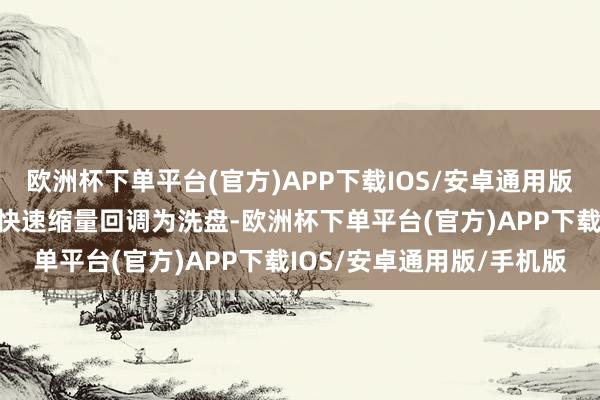 欧洲杯下单平台(官方)APP下载IOS/安卓通用版/手机版就不错假定这种快速缩量回调为洗盘-欧洲杯下单平台(官方)APP下载IOS/安卓通用版/手机版