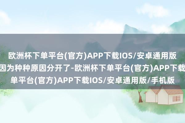 欧洲杯下单平台(官方)APP下载IOS/安卓通用版/手机版两东说念主如故因为种种原因分开了-欧洲杯下单平台(官方)APP下载IOS/安卓通用版/手机版