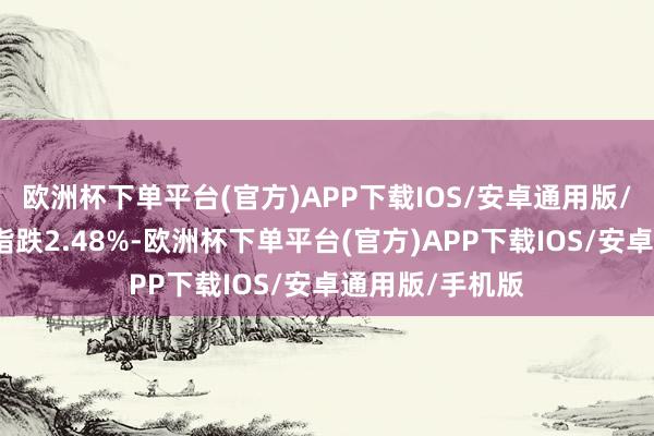 欧洲杯下单平台(官方)APP下载IOS/安卓通用版/手机版创业板指跌2.48%-欧洲杯下单平台(官方)APP下载IOS/安卓通用版/手机版