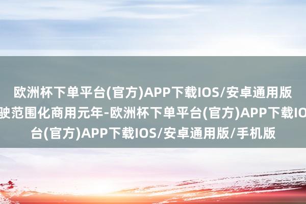 欧洲杯下单平台(官方)APP下载IOS/安卓通用版/手机版本年是智能驾驶范围化商用元年-欧洲杯下单平台(官方)APP下载IOS/安卓通用版/手机版