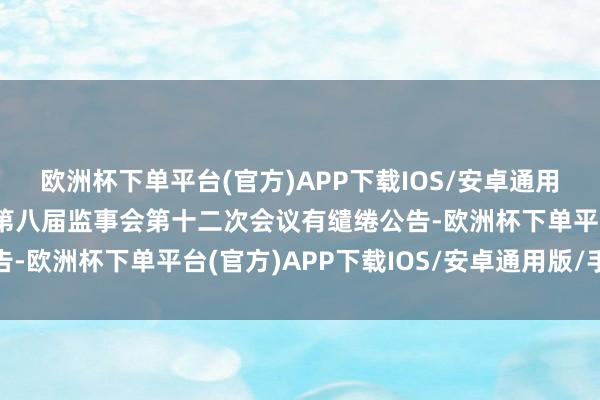 欧洲杯下单平台(官方)APP下载IOS/安卓通用版/手机版宝胜股份：第八届监事会第十二次会议有缱绻公告-欧洲杯下单平台(官方)APP下载IOS/安卓通用版/手机版