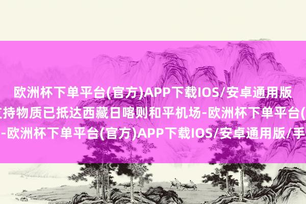 欧洲杯下单平台(官方)APP下载IOS/安卓通用版/手机版首批约13吨的支持物质已抵达西藏日喀则和平机场-欧洲杯下单平台(官方)APP下载IOS/安卓通用版/手机版