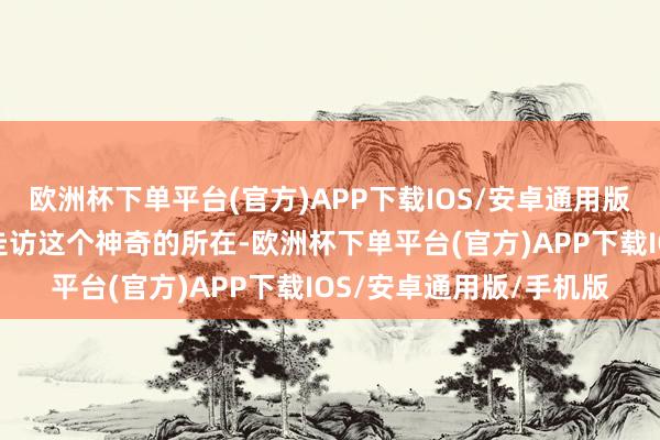 欧洲杯下单平台(官方)APP下载IOS/安卓通用版/手机版随着宇辉沿途走访这个神奇的所在-欧洲杯下单平台(官方)APP下载IOS/安卓通用版/手机版