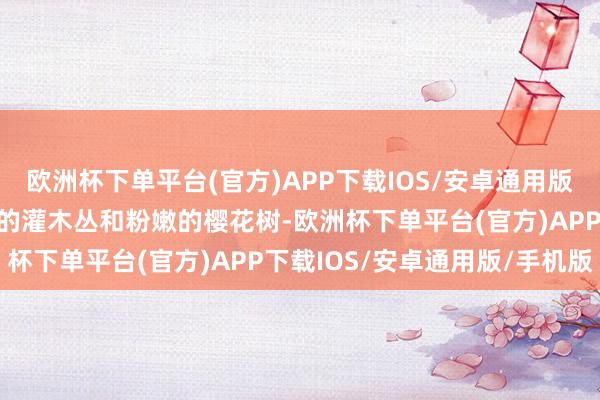 欧洲杯下单平台(官方)APP下载IOS/安卓通用版/手机版周围是绿意盎然的灌木丛和粉嫩的樱花树-欧洲杯下单平台(官方)APP下载IOS/安卓通用版/手机版