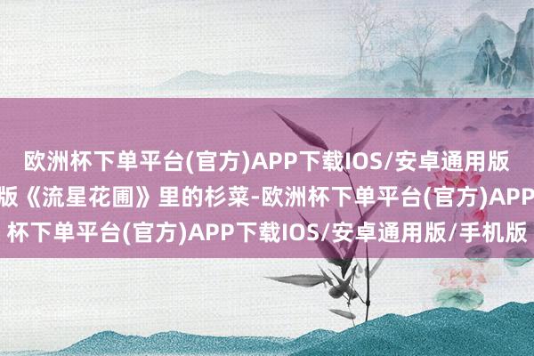 欧洲杯下单平台(官方)APP下载IOS/安卓通用版/手机版她告捷塑造了台版《流星花圃》里的杉菜-欧洲杯下单平台(官方)APP下载IOS/安卓通用版/手机版