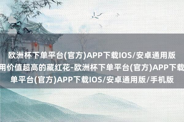 欧洲杯下单平台(官方)APP下载IOS/安卓通用版/手机版就变成了咫尺药用价值超高的藏红花-欧洲杯下单平台(官方)APP下载IOS/安卓通用版/手机版