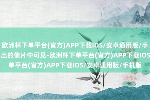 欧洲杯下单平台(官方)APP下载IOS/安卓通用版/手机版        从网友共享出的像片中可见-欧洲杯下单平台(官方)APP下载IOS/安卓通用版/手机版