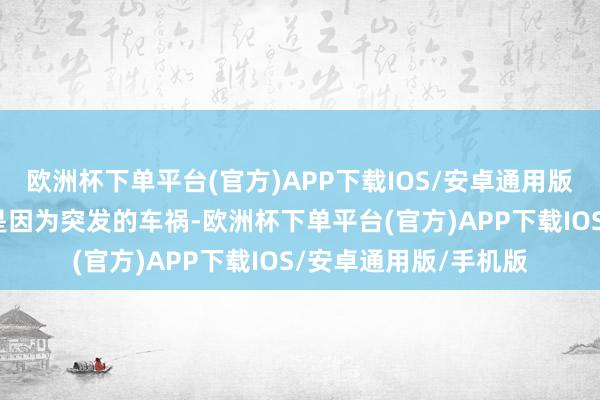 欧洲杯下单平台(官方)APP下载IOS/安卓通用版/手机版有网友袒露是因为突发的车祸-欧洲杯下单平台(官方)APP下载IOS/安卓通用版/手机版