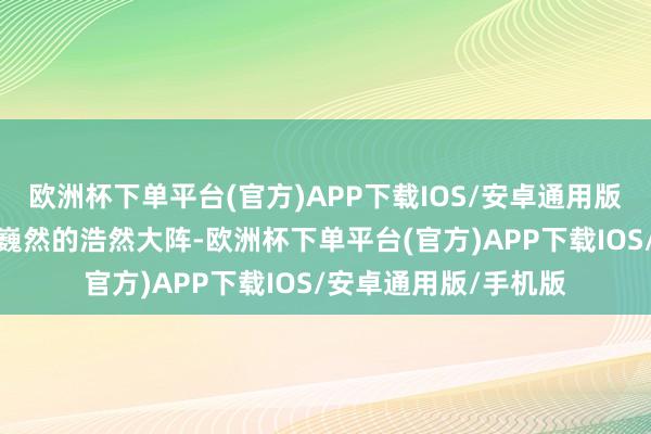 欧洲杯下单平台(官方)APP下载IOS/安卓通用版/手机版而一旁即是巍然的浩然大阵-欧洲杯下单平台(官方)APP下载IOS/安卓通用版/手机版