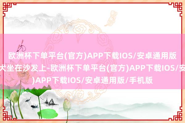 欧洲杯下单平台(官方)APP下载IOS/安卓通用版/手机版她抱着爱犬坐在沙发上-欧洲杯下单平台(官方)APP下载IOS/安卓通用版/手机版